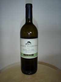 Sauvignon St. Valentin