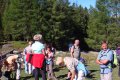 dsc08236
