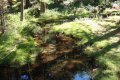 dsc08238