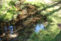 dsc08239