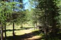 dsc08259