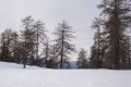 dsc09441