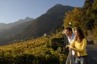 herbst-falknerpromenade-farbig-laub