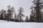 dsc09441