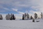 dsc09447