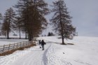 dsc09470