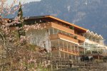 Erika Südfassade|Blick aus den benachbarten Weinbergen 
