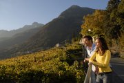 herbst-falknerpromenade-farbig-laub