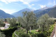 img_2960