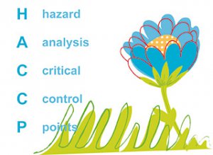 haccp