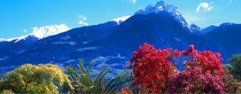 Texelgruppe in Dorf Tirol