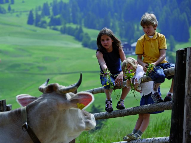 auf der Hochmut in Dorf Tirol