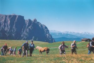 Hauswanderung des Hotel Erika in Südtirol