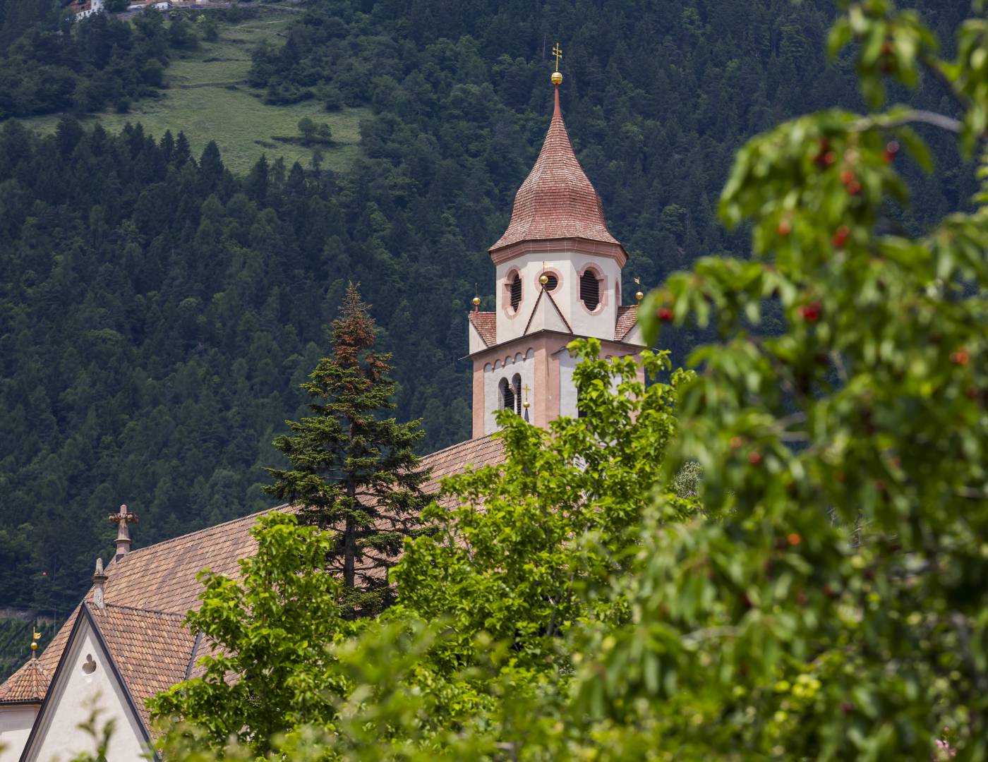 Blick auf das idyllische Dorf Tirol mit den umliegenden Weinbergen