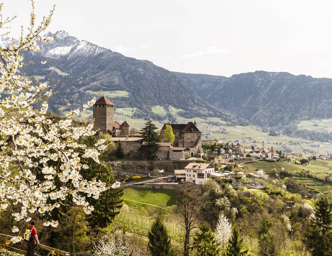 Frühlingsbild mit Blick auf Schloss Tirol und blühende Obstgärten in Dorf Tirol