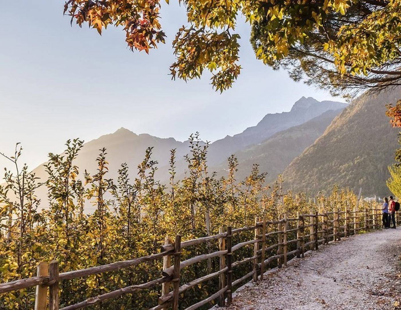 Autumn view of a Waalweg trail in South Tyrol on a beautiful day