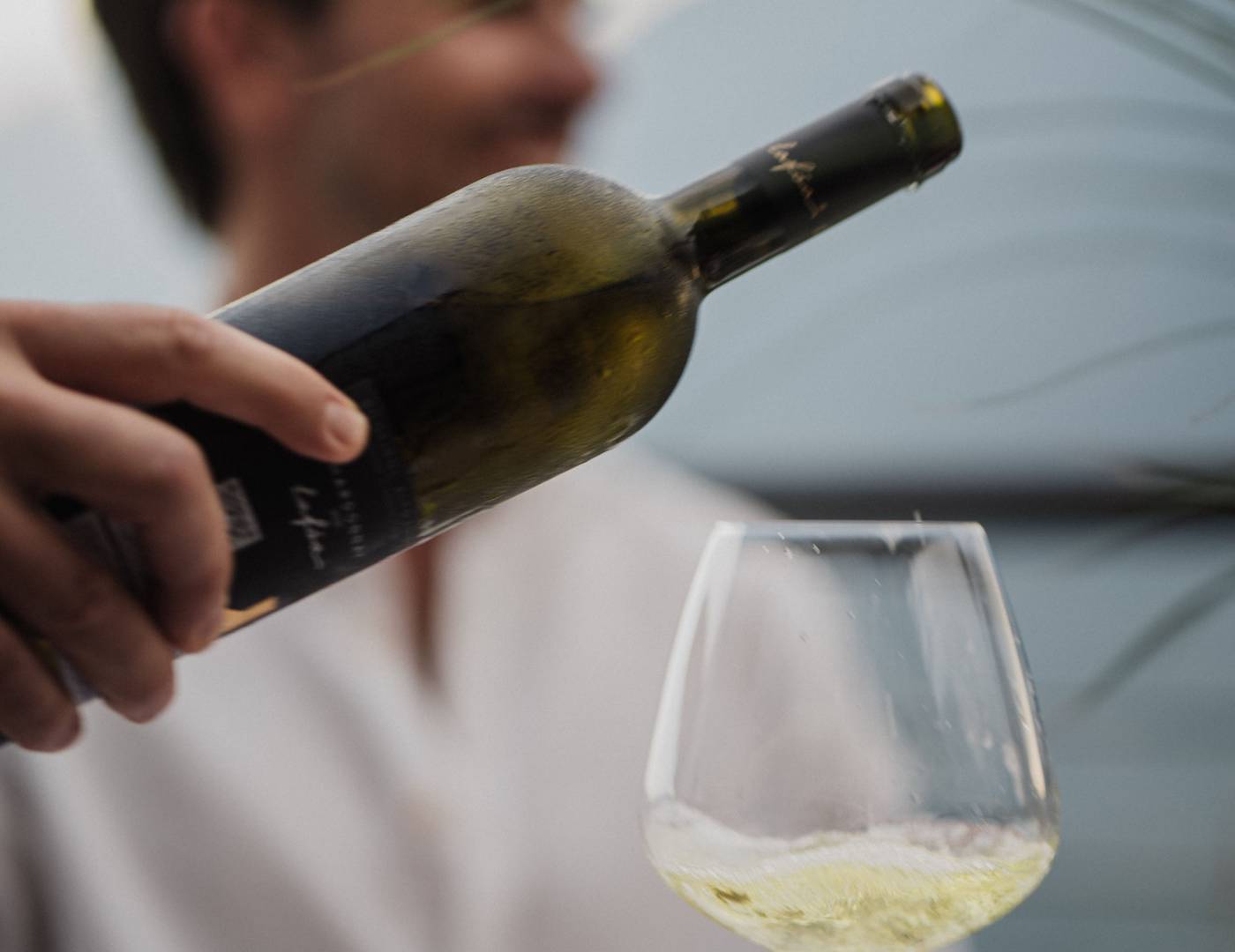 Wine with dinner at the wine hotel near Merano