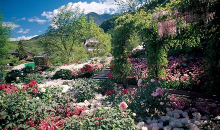 Die Gärten von Schloss Trauttmansdorff bei Meran – botanische Erlebnisgärten