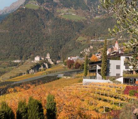 Herbstliches Bild von Dorf Tirol mit Blick vom Hotel Erika aus