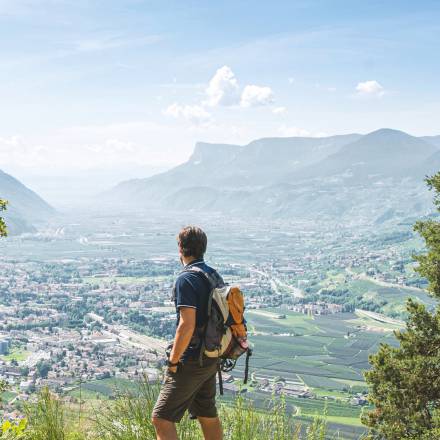 Mann genießt die Aussicht über das Meraner Land in Südtirol