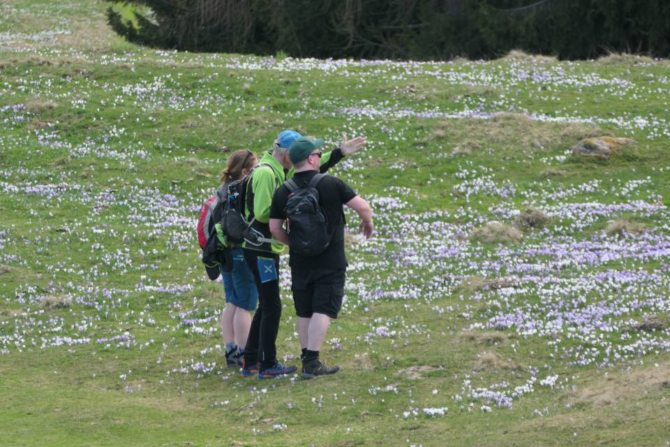 Wöchentliche Hauswanderung mit Pepi und Patrick vom Wanderhotel Erika in Südtirol