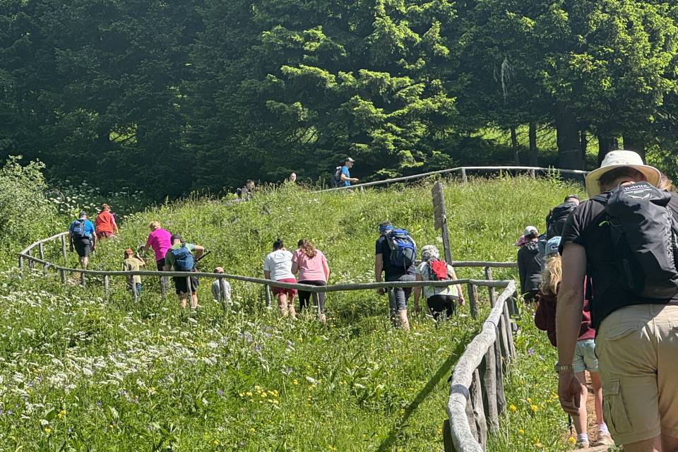 Geführte Hauswanderung mit den Gastgebern vom Aktivhotel Erika bei Meran