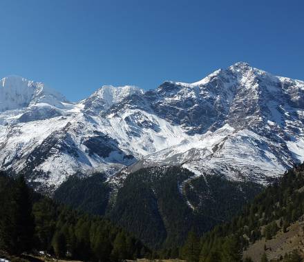 Otler Berg Südtirol