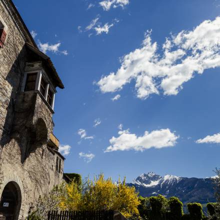 Escursioni giornaliere
in Alto Adige e Italia settentrionale - Hotel Erika
