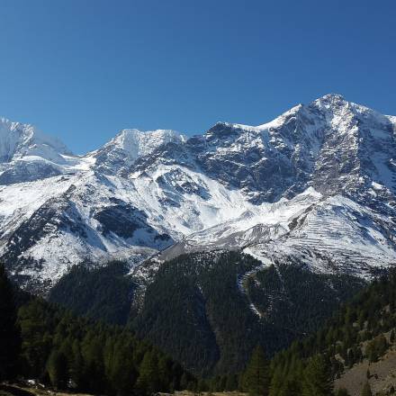 Vacanza a 5 stelle a Merano, Alto Adige: Sempre speciale - Hotel Erika