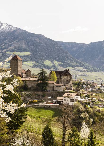 Schloss Tirol Südtirol