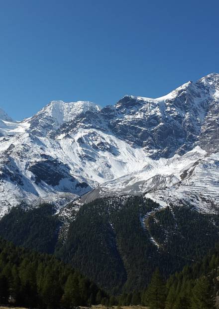 Otler Berg Südtirol