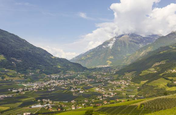 Panorama auf Meran Südtirol