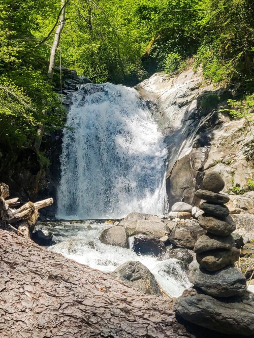 Symbol photo: 18. Sep. 2026 from 10:00 o'clockReception Circular walk & forest bathing at the Schwemmploder at Tirolo