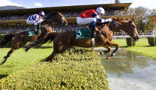 Foto simbolica: 24. Ago. 2025 dalle ore 13:00Ippodromo di Merano Tirolo Day all'ippodromo di Merano