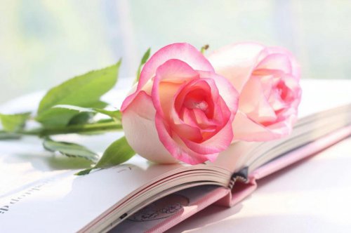 Symbolfoto: 06. Nov. 2025 ab 18:45 Uhrin der Loggia bei der Bar Wir erwarten Sie zum speziellen Aperitif am Hausfeiertag