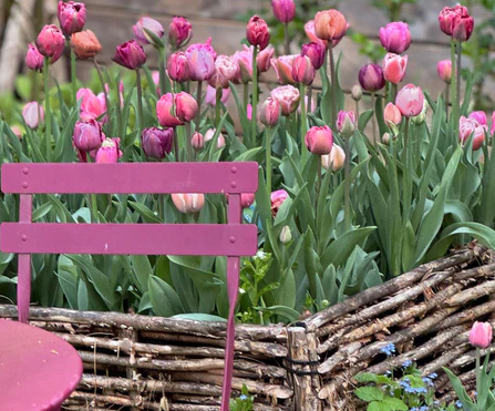 Foto simbolica: 09. Apr. 2026 dalle ore 18:45nella Loggia Aperitivo - serata speciale